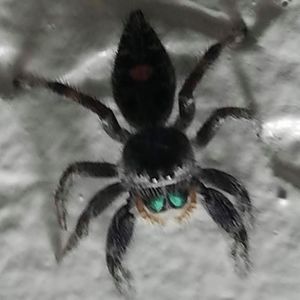 Meet your Posher, Jeff